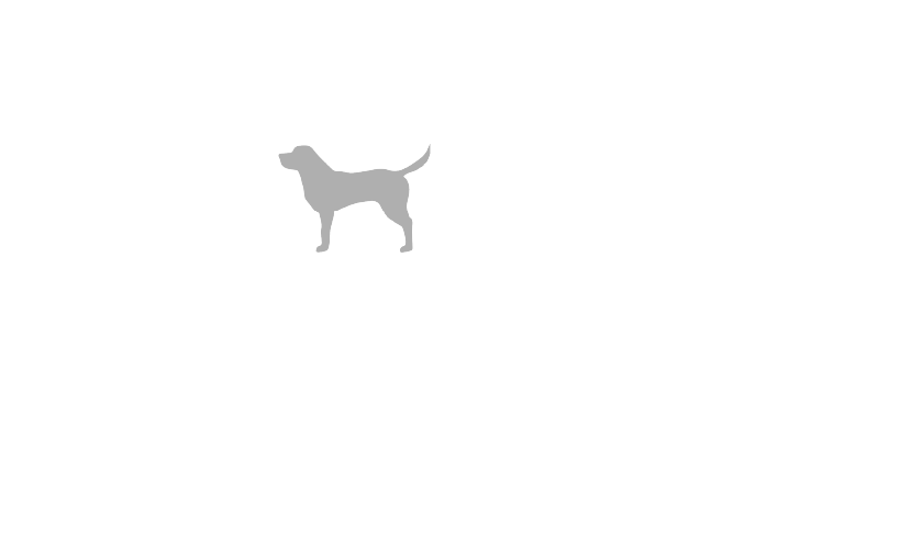 The Bailey